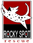 RSR Logo